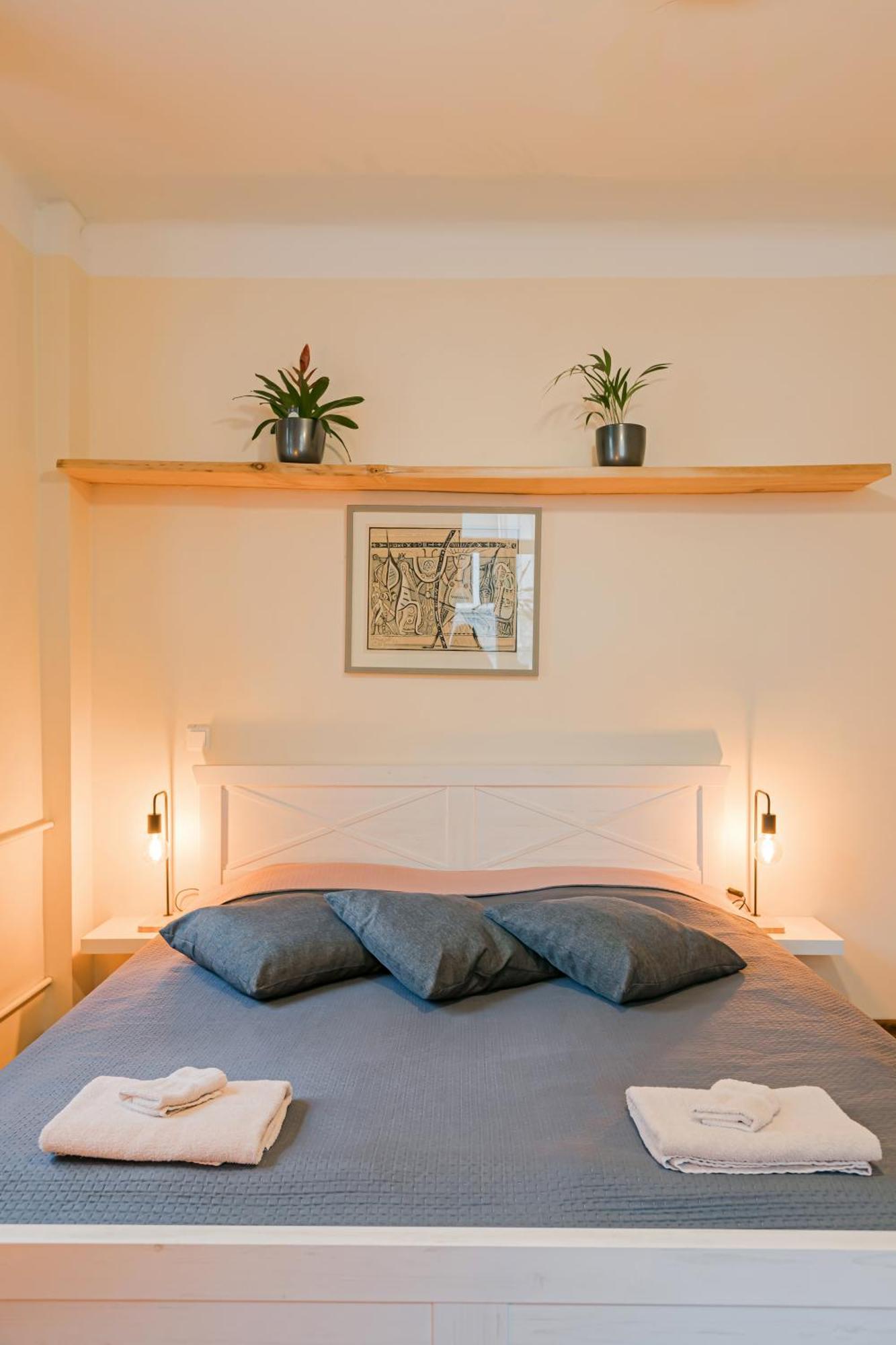 Cozy Studio And Standard Apartments In The Heart Of Oldtown VNO Eksteriør billede